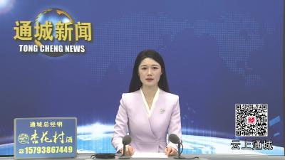视频-通城县召开2025年度党委（党组）书记抓基层党建工作述职评议会议 