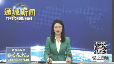 视频-逛市集 购年货 品年味  通城县隽水镇赶集大会17日开市 邀您寻味新春