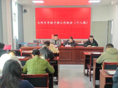 通城县大坪乡：以“干”赋能 以“践”提能