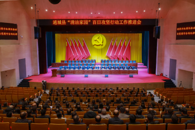 通城县召开“清洁家园”百日攻坚行动工作会