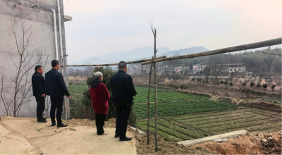 通城县塘湖镇：重拳护田拆违建 复耕守线展新容