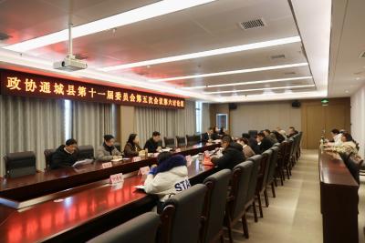 【聚焦两会】政协委员热议政府工作报告 凝心聚力共谋通城新发展