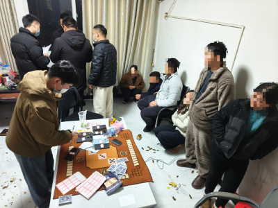 通城公安抓获涉赌人员13人