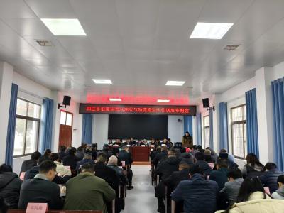 通城县四庄乡召开低温雨雪冰冻天气防范应对工作调度专题会