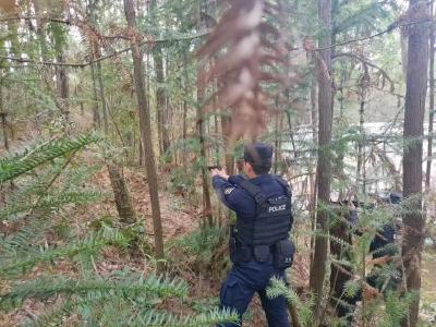 阳光下的守护 | 耕牛失控伤人！通城特警火速出击化险为夷