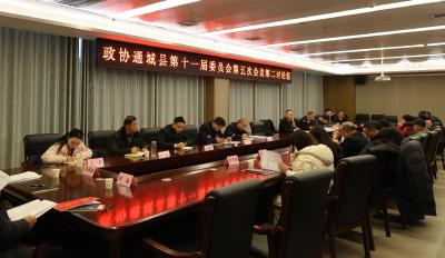 【聚焦两会】政协委员分组讨论政协工作报告