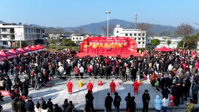 湖北通城：鄂湘边镇农文大集开市 两地群众赶集迎新春