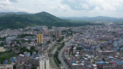 视频-守护团圆归家路｜通城县2026年免费返乡专车活动等你来报名 