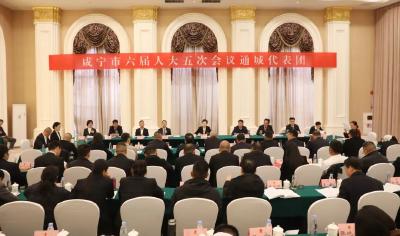 通城代表团举行全体会议 审议市政府工作报告等文件
