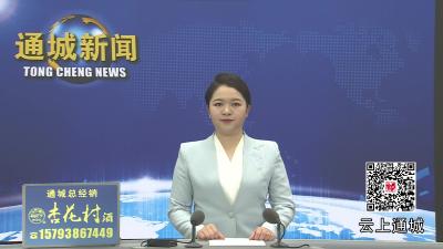 视频-2026年第1次通城县政府常务会议召开