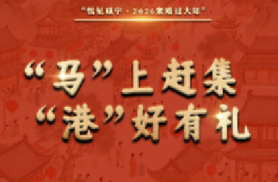 鄂湘年味，咸宁“集”结！马港新春大集，好逛好玩好热闹