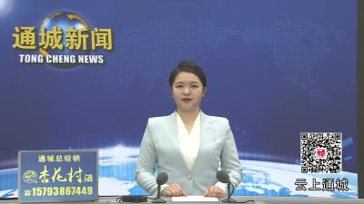 视频-悦见咸宁·2026来咸过大年 通城县隽水镇举办“促消费强联农 隽水赶集大会”活动