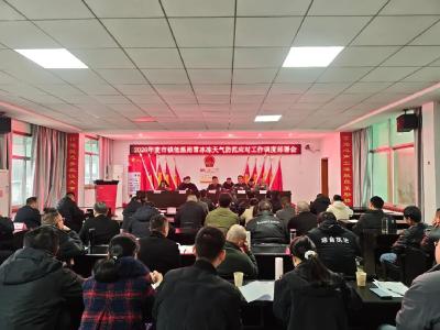 提前研判 精准施策 | 通城县麦市镇织密低温雨雪冰冻天气“防护网” 