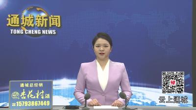 视频-北京市通城商会换届大会举行