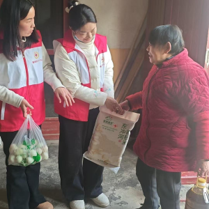 通城县北港镇横冲村：年关送暖 米油传情