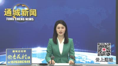 视频-通城县召开2026年“春风行动”系列活动部署会