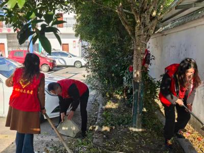 【清洁家园在行动】通城县麦市镇：巾帼擦亮底色 清洁焕新乡村