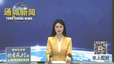 视频-通城代表团举行全体会议 审议市政府工作报告等文件 