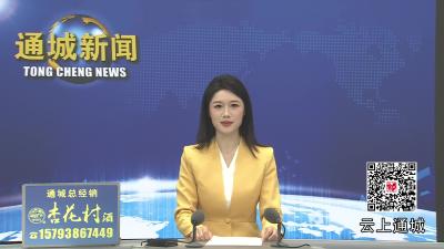 视频-通城：以DeepSeek打造智慧助手平台 助推监督办案高质效 