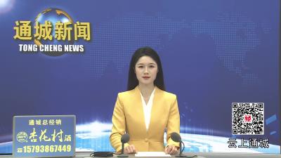 视频-通城县召开党外干部座谈会 