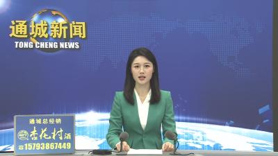 视频-杨修伟：为加快打造武汉都市圈绿色发展重要增长极贡献更多通城力量