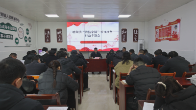 通城县塘湖镇部署2026年“清洁家园”百日攻坚行动工作