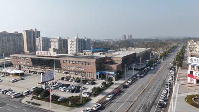 守护团圆归家路｜通城县2026年免费返乡专车活动等你来报名