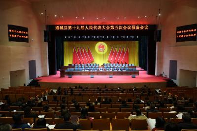 【聚焦两会】通城县第十九届人民代表大会第五次会议举行预备会议