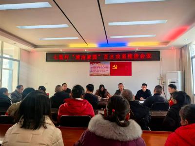 【清洁家园在行动】通城县麦市镇七里村：水清岸绿迎新春 奏响清洁家园攻坚曲