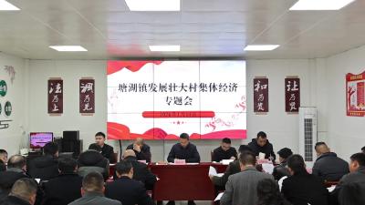 视频-通城县塘湖镇召开发展壮大村集体经济工作专题会议 