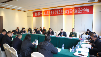 【聚焦两会】黄建平杨修伟分别参加县十九届人大五次会议分团讨论