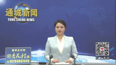 视频-张金安指导通城县委常委会2025年度民主生活会时要求 营造良好发展生态 夯实高质量发展根基  