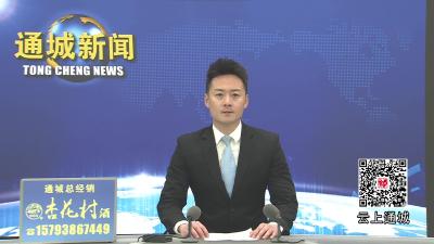 视频-黄建平调研重点项目建设工作