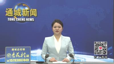 视频-通城县召开返乡创业工作推进会 