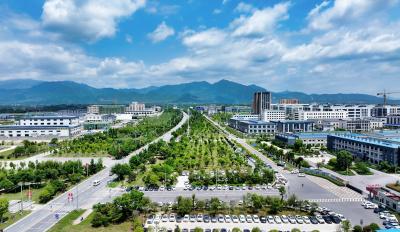 激荡澎湃动能  绘就发展新篇|通城县高质量发展争先创优工作巡礼