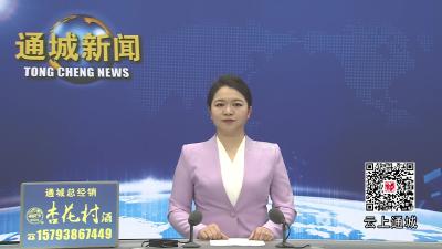 视频-通城柳堤公园焕新颜：“八百壮士”主题文化街区融入城市生活