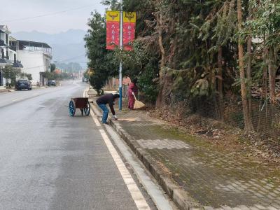 【清洁家园在行动】通城县大坪乡药姑村开展“清洁家园”百日攻坚环境整治行动