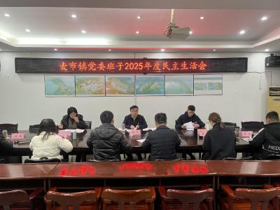 通城县麦市镇党委班子召开2025年度民主生活会