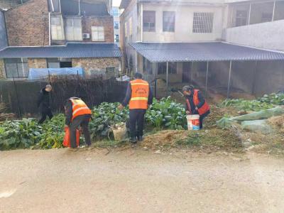 【清洁家园在行动】通城五里镇：开展“清洁家园”百日攻坚行动 共筑美丽宜居环境