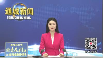 视频-通城县举行2026年“楚（隽）商回归 共建支点”春节招商推介会