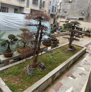 【清洁家园在行动】通城县隽水镇雁塔社区：人人齐清洁 户户共洁净