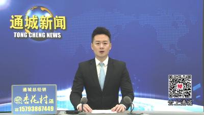 视频-【重点交通项目献礼新春②】通城：实干筑通途 通修高速公路项目按下建设“快进键”