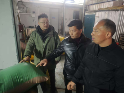 通城县石南镇开展春节前安全生产大检查 全力守护群众平安祥和迎新春