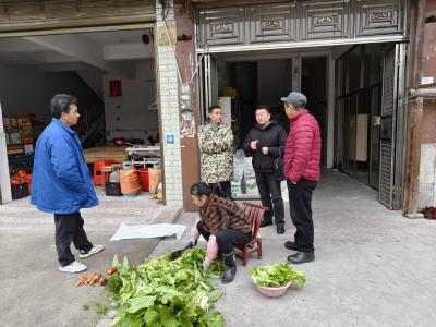 通城县马港镇：下沉走访送政策 安全文明入万家