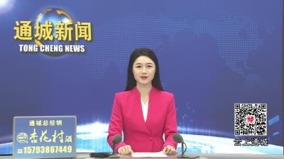 视频-金马奋蹄 福耀通城 2026年通城县春节联欢晚会精彩举行