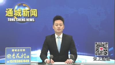 视频-“文学名家看通城”文化座谈会暨李御作品赏读研讨会举行 