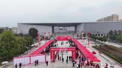 视频-春风送岗暖人心 家门口就业圆梦想｜通城“春风行动”应聘者心声 