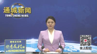 视频-悦见咸宁·2026来咸过大年“红色塘湖·新风贺春”赶集活动热闹启幕