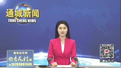 视频-【新春走基层】通城：“春风行动”送岗位 就业就在“家门口” 