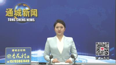 视频-通城县召开全链条打击涉烟违法活动专题会议 